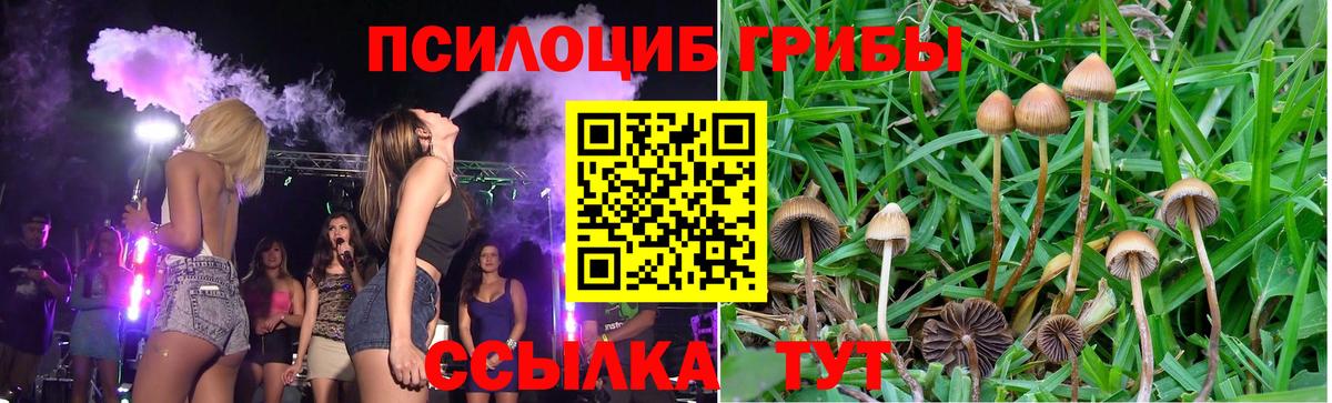 Соль-Илецк  Псилоцибиновые грибы Psilocybine cubensis  Вход с VPN  Галлюциногенные грибы MAGIC MUSHROOMS 